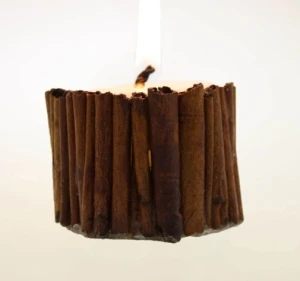 Candela con stecche di cannella